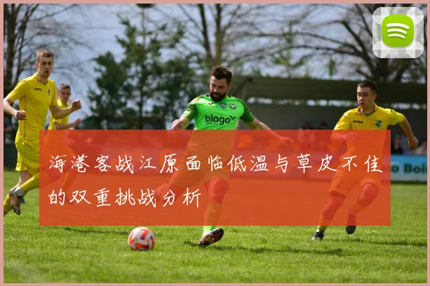 海港客战江原面临低温与草皮不佳的双重挑战分析