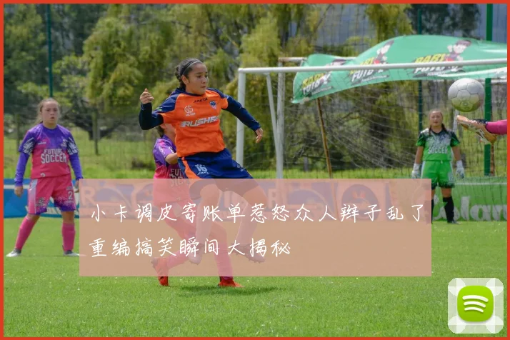 小卡调皮寄账单惹怒众人辫子乱了重编搞笑瞬间大揭秘